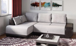 Механізми трансформації, види, переваги та недоліки.