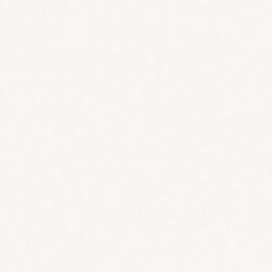 ЛДСП 2800×2070×25 Kronospan Белый 0110 PE - 0