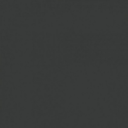 ЛДСП 2800×2070×18 Swiss Krono Антрацитовий 164 PE - 0